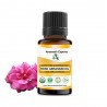 Rose Geranium Oil